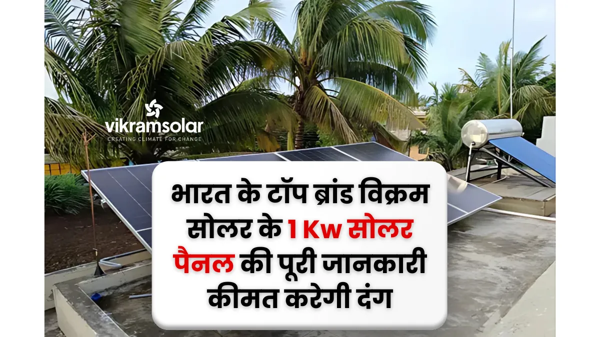 Vikram Solar 1kW Solar Panel